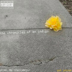 the chronicles of an indigo. (prod. CRANIUMNOIR)
