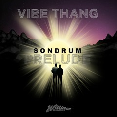 SONDRUM - Vibe Thang (Original Mix)