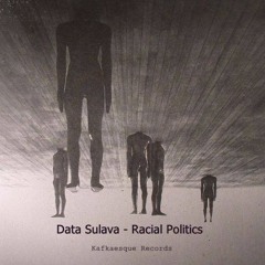Data Sulava - Racial Politics