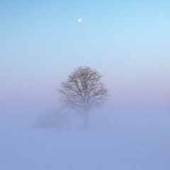 TEMET NOSCE (prod. MATA)