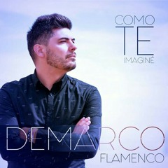 Demarco Flamenco - Como te imaginé