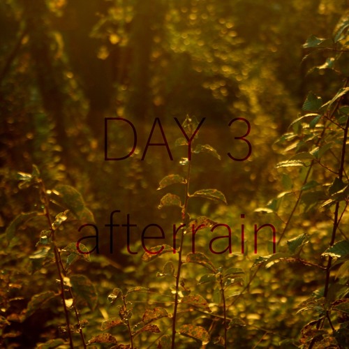 Day 3 - afterrain