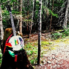 The Moon And The Sun (With Slide) Monty Biggins