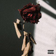 2 .Rosas (prod. Triick )