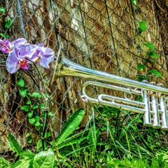 Summer Lurkin' Ft. Lee Wren