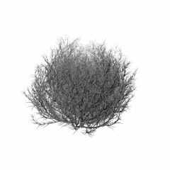 sengr - Inseperable (Original Mix)