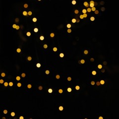 what am i even doing at this point