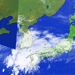 新鮮で晴れた日