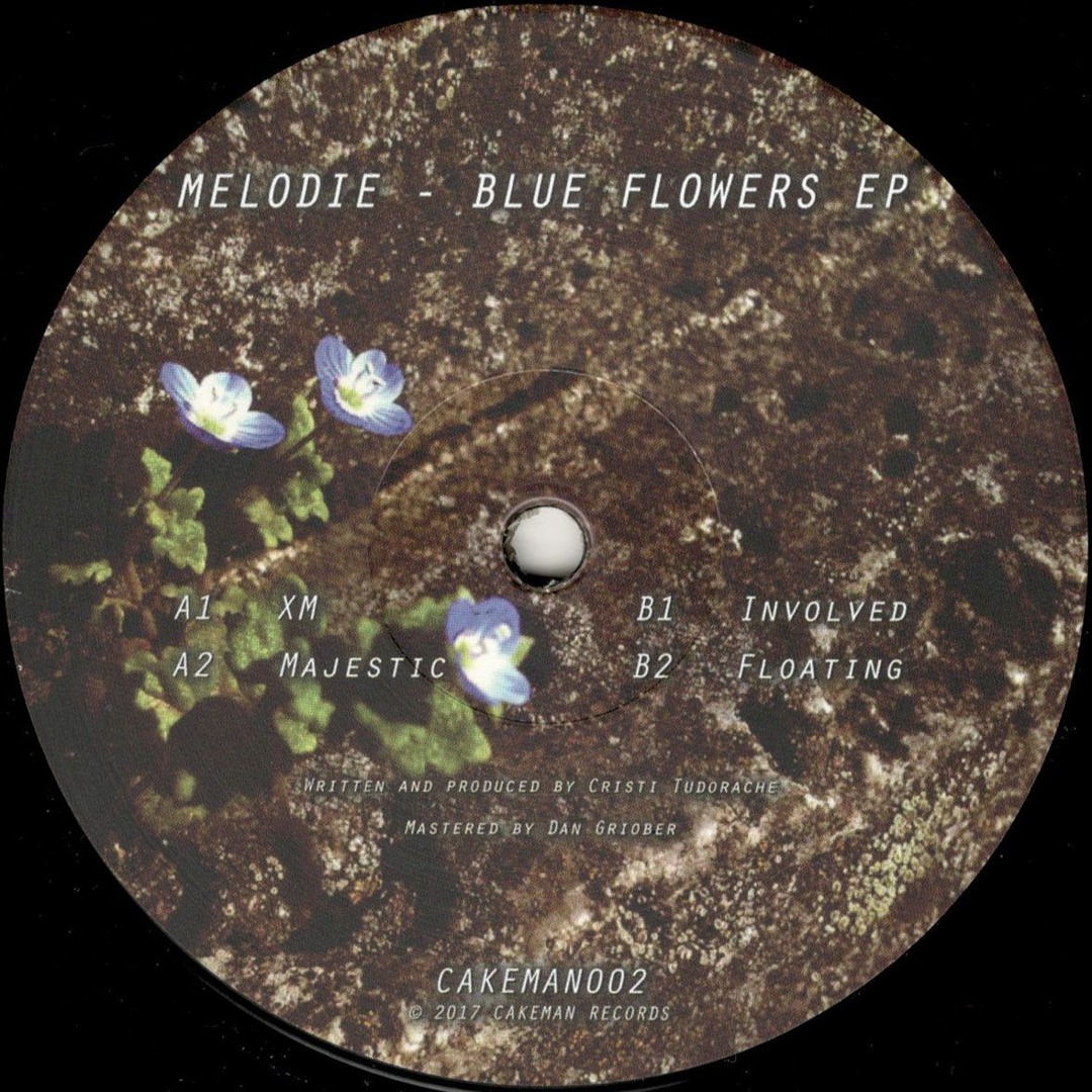 トップブランドのファッション The Pillows - BLUE SONG WITH