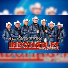Los Indomables De Cedral-El Chivo Pelon ( En VIVO)