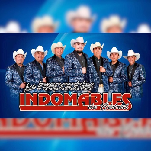 Los Indomables De Cedral-El Chivo Pelon ( En VIVO)