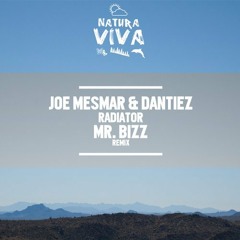 Joe Mesmar & Dantiez - ER (Original Mix) [Natura Viva]
