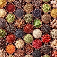 Ashish Ddavidd - Spices Of India (E Learning)