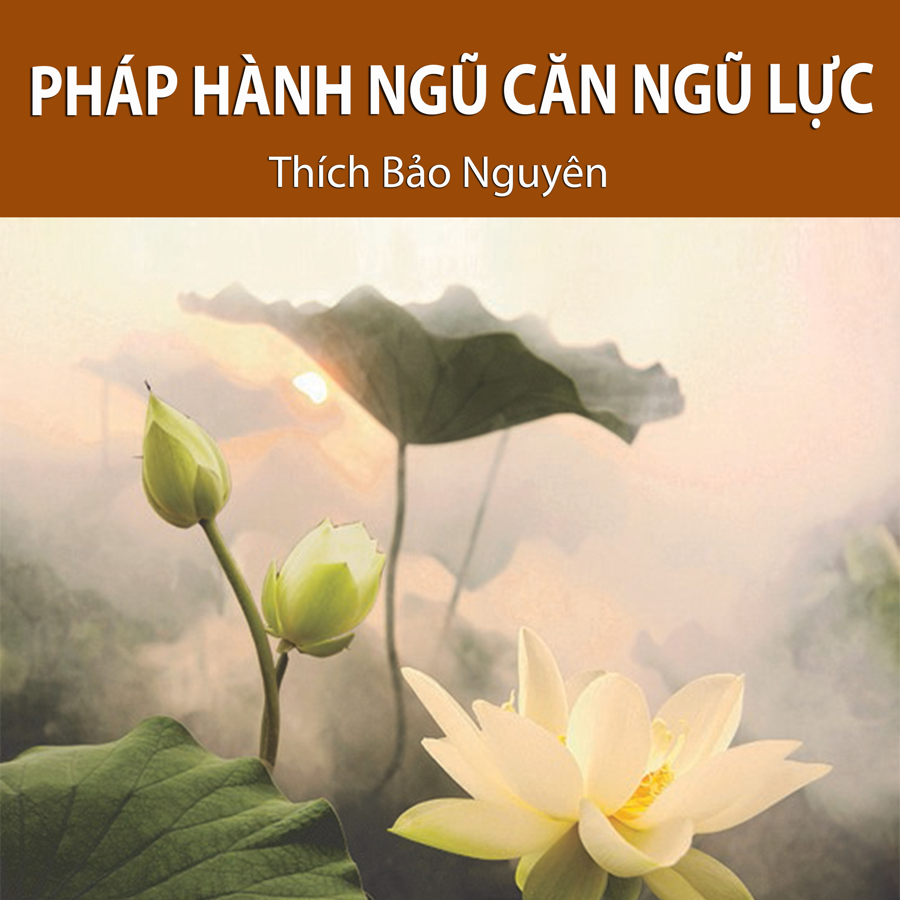 Thích Bảo Nguyên