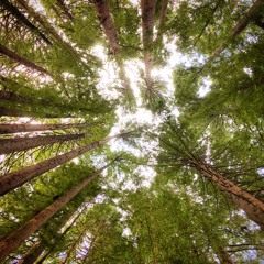 6. Draw me, dear Lord, with Your beauty