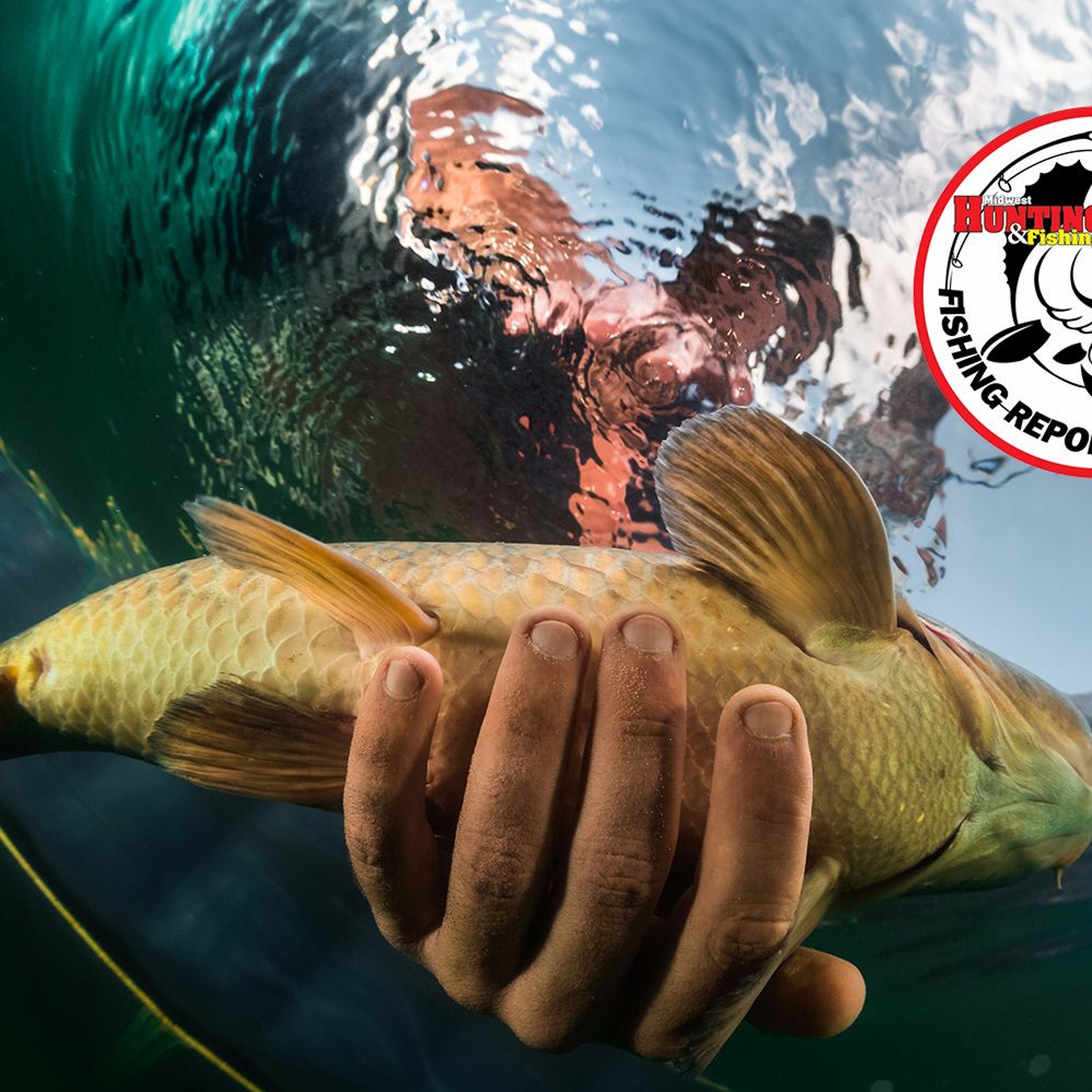 Fishing Report - 06/08/17