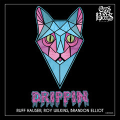 Ruff Hauser, Roy Wilkins, Brandon Elliot - Drippin (original mix)
