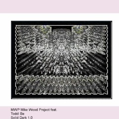 MWP Mike Wood Project feat. Toddl Be - Solid Dark 1.0 [harder/gelyk/beter R.A.W. As F**k State Mix]