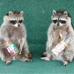 I've Got All This Ringing In My Ears And None On My Fingers