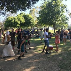 Coyoti - The Blackbird Bus -  Park Party #01