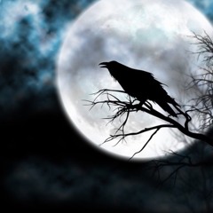 Ravens by Manny Carrizales (original song)