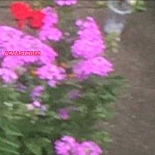 Shouldn't Live or Remember a Day