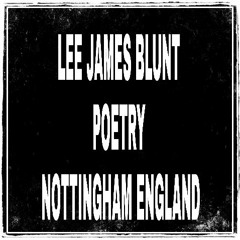 Do You Like It   Lee J Blunt High Quality