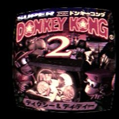 Donkey Kong Country 2 - In A Snow - Bound Land