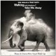 Walking With Elephants Vs Take Me Away (8kays & Diana Miro Vocal Mash Up)