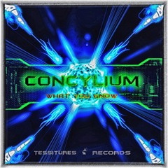 Concylium - What You Know