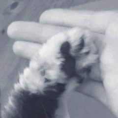 Ed Sheeran- Photograph (Áine Moore)