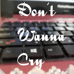 Don't Wanna Cry(Seventeen/세븐틴) inst remake by 겨울