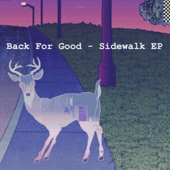 Back for Good - Endgame (Turn it Down Music #1)