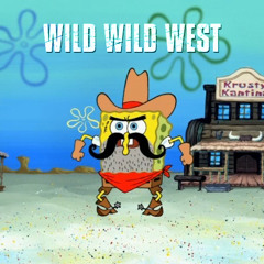 wicky wicky wild wild west