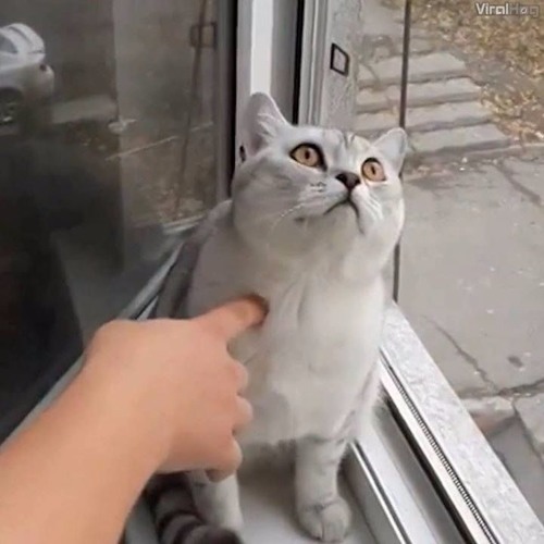 [Minimix] - Insider- Kent Collection