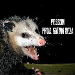 POSSUM (prod. GRiMM DOZA)