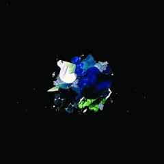 Premiere: Kuna Maze - Gum