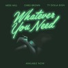 Meek Mill Whatever You Need Feat Chris Brown And Ty Dolla Ign Repost And I Ll Follow Mp3