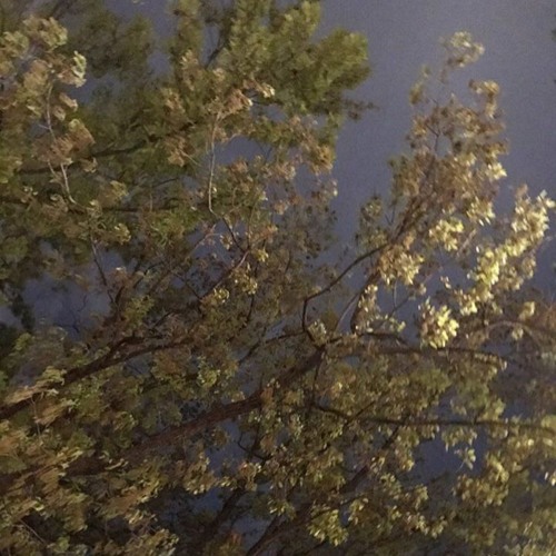 Daniel Caesar - Get You cover by INHYE