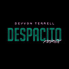 Luis Fonsi - Despacito ft. Daddy Yankee & Justin Bieber (Devvon Terrell Remix)