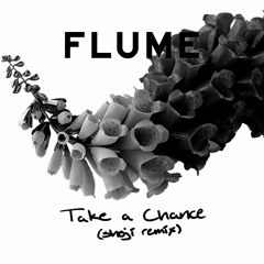 Flume - Take a Chance (shoji remix)