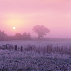 BEAUTIFUL MORNING