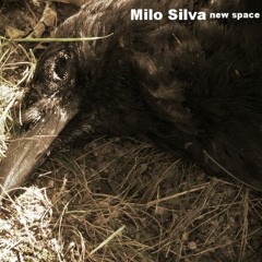 Milo Silva - "New Space"