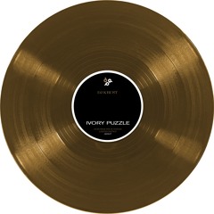 Ivory Puzzle - DJ Krust