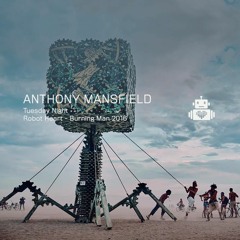 Anthony Mansfield - Robot Heart - Burning Man 2016