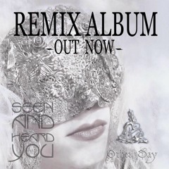 Seen and heard you -remnant remix-