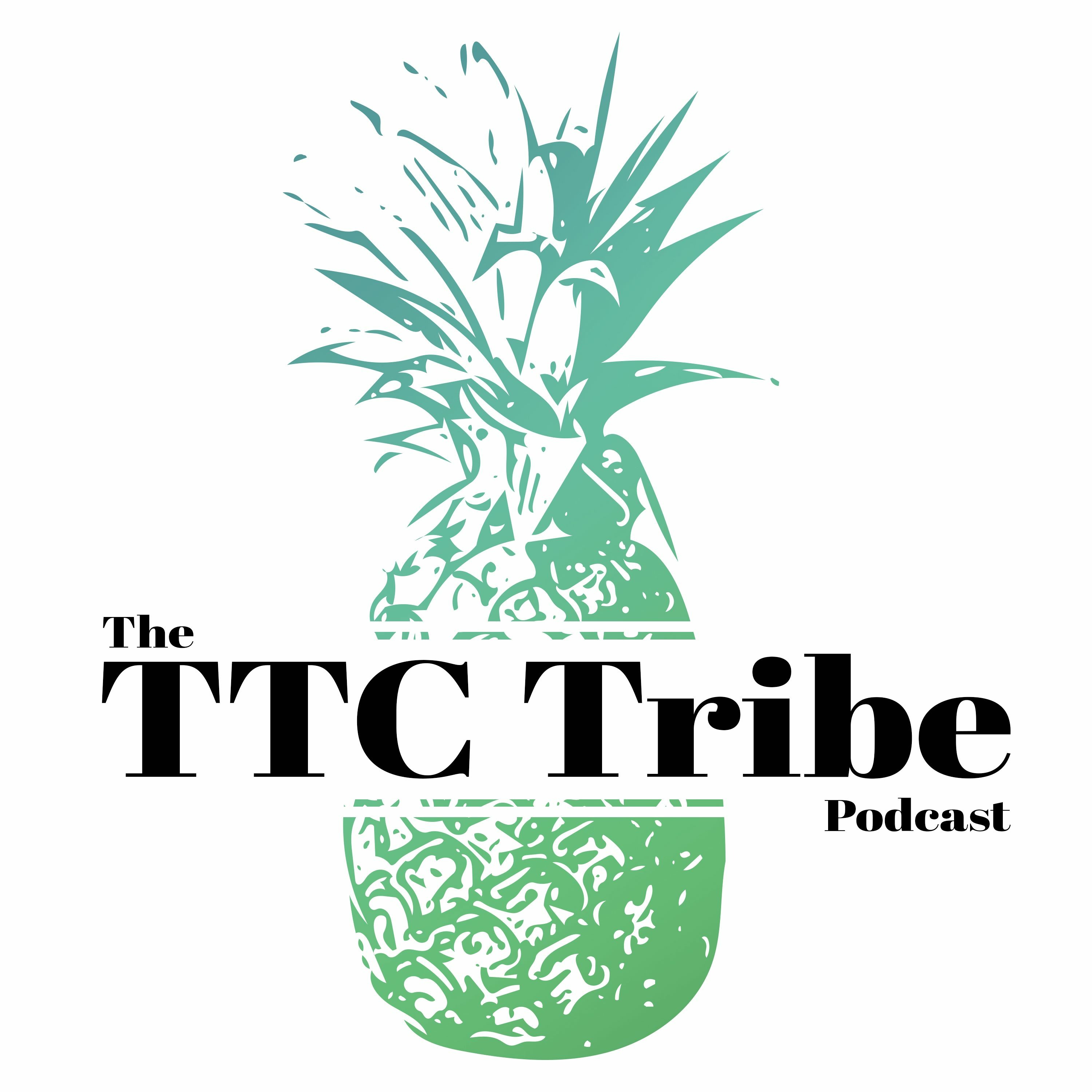 002 | IVF talk with Abby TTC Dreambound episode artwork