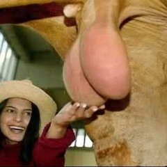 Suck My Balls