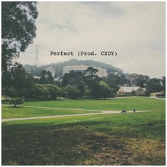 Perfect Feat. XENO (Prod. CXDY)