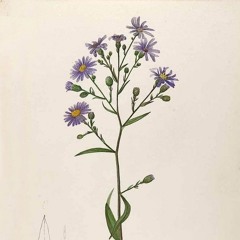 Yesterday Cover by Morgan Madison